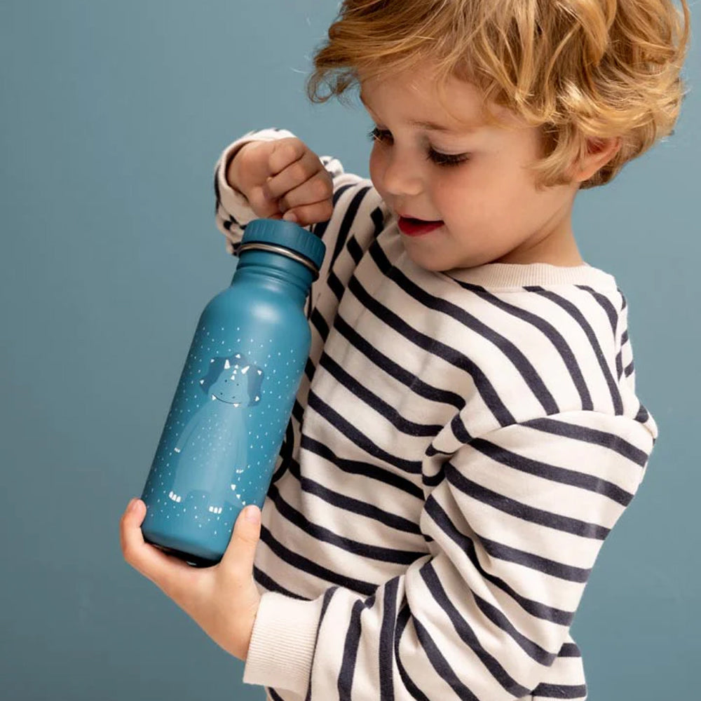Trixie Paslanmaz Çelik Suluk 350 ML - Mr. Triceratops