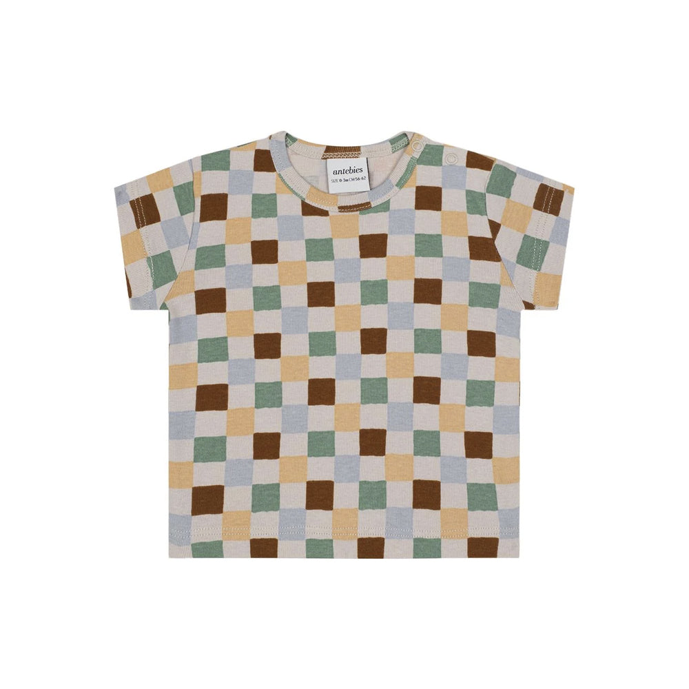Antebies Pastel Damalar Kısa Kollu Tshirt Şort Set