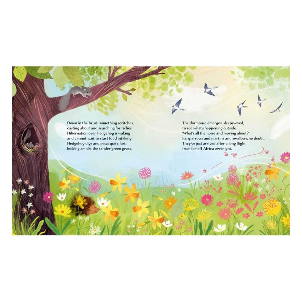 Spring
