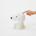 Mr. Maria Snoopy First Light Aydınlatma
