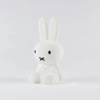 Mr. Maria Mini Miffy Lamba