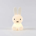 Mr. Maria Mini Miffy Lamba