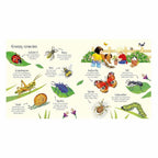 Poppy And Sam's Nature Spotting Book